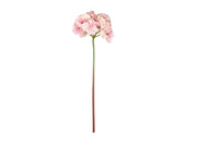 Hydrangea Styles 24 x 60 cm Rose