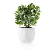 Eva Solo - Flowerpot large Nova | Hype Design London