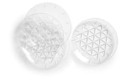 Picnic-plate-4-pac-transparent