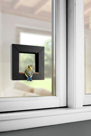 Frame-bird-feeder