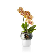 Eva Solo Orchid Pot | Hype Design London